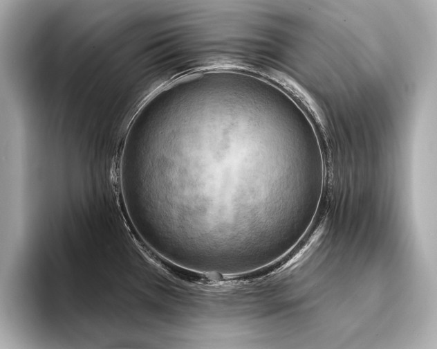 X0000094191385200710261123