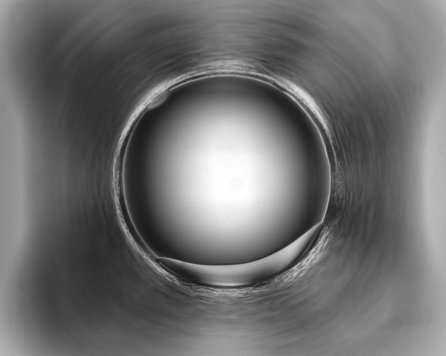 X0000094191389200710261123