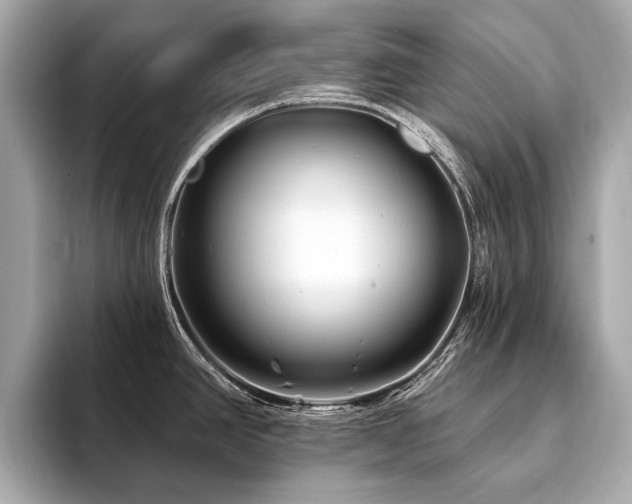 X0000094191390200710261123