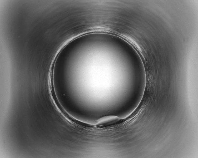 X0000094191391200710261122