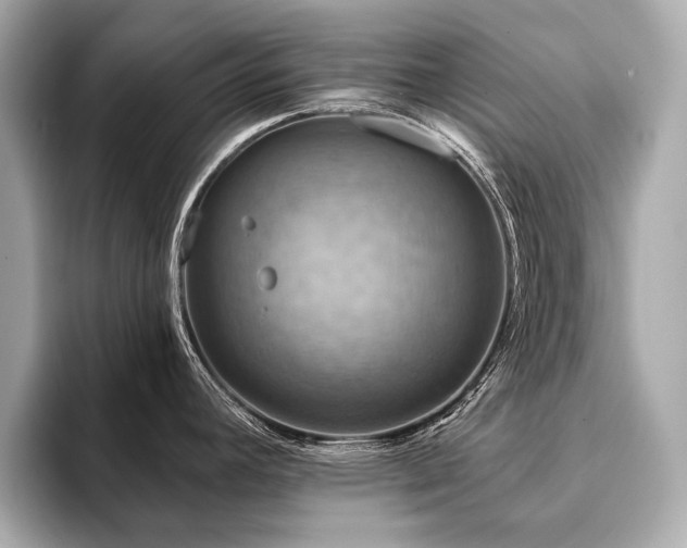 X0000094191392200710261122