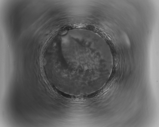 X0000094191393200710261122
