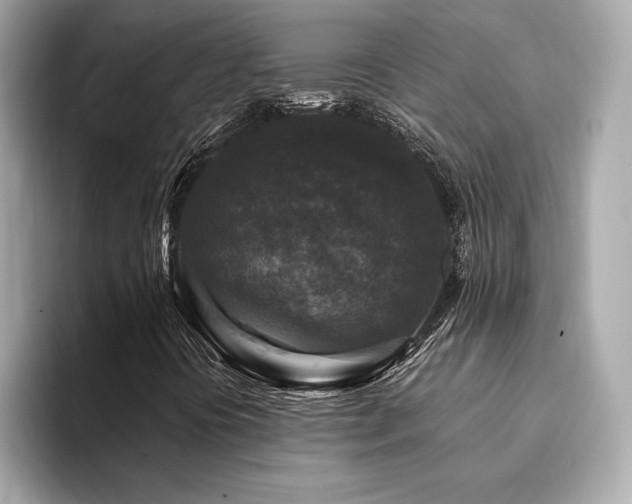X0000094191394200710261122
