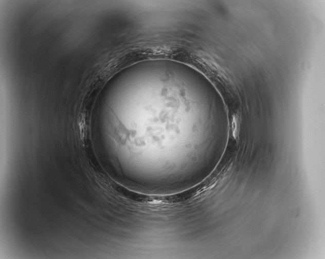 X0000094191395200710261122