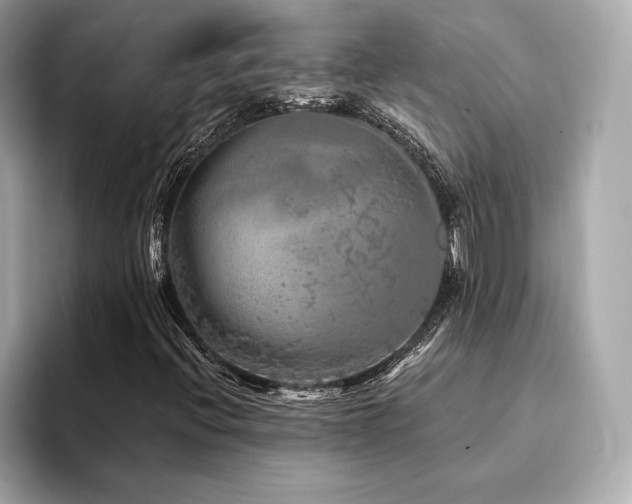 X0000094191396200710261122