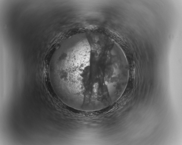 X0000094191397200710261122