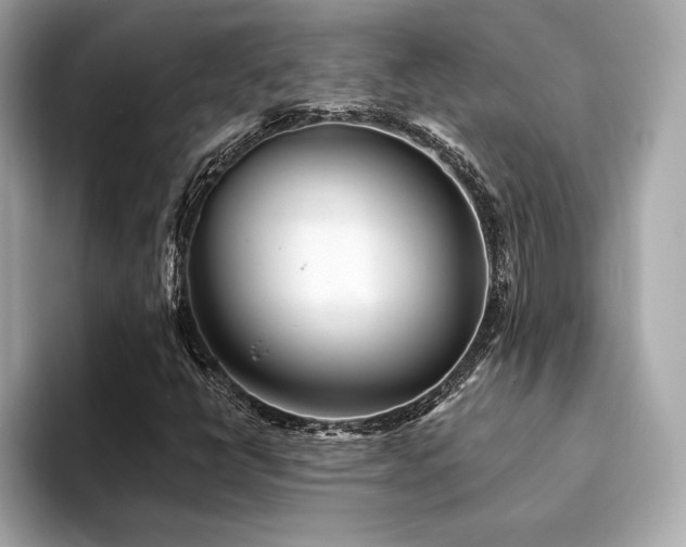 X0000094191398200710261122