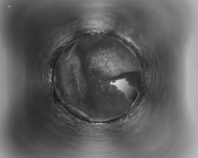 X0000094191399200710261122