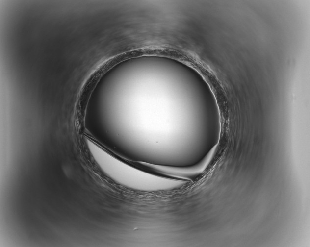 X0000094191400200710261122