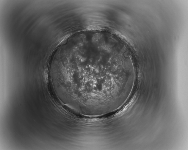 X0000094191401200710261122