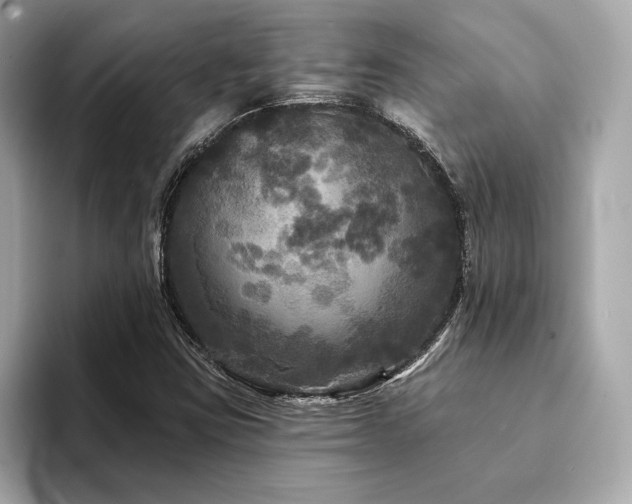 X0000094191403200710261122