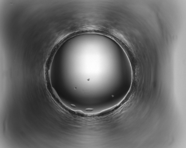 X0000094191404200710261122
