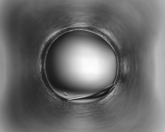 X0000094191406200710261122