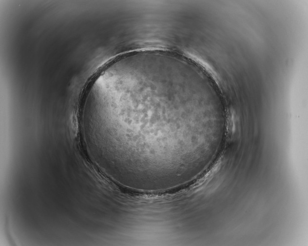 X0000094191407200710261122
