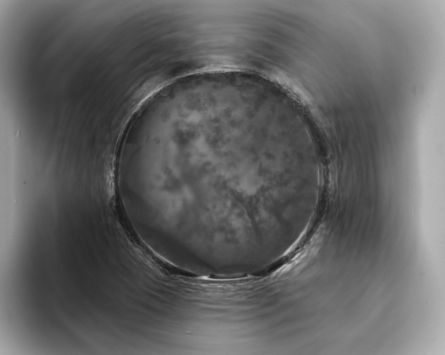 X0000094191409200710261122