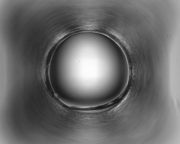 X0000094191410200710261122