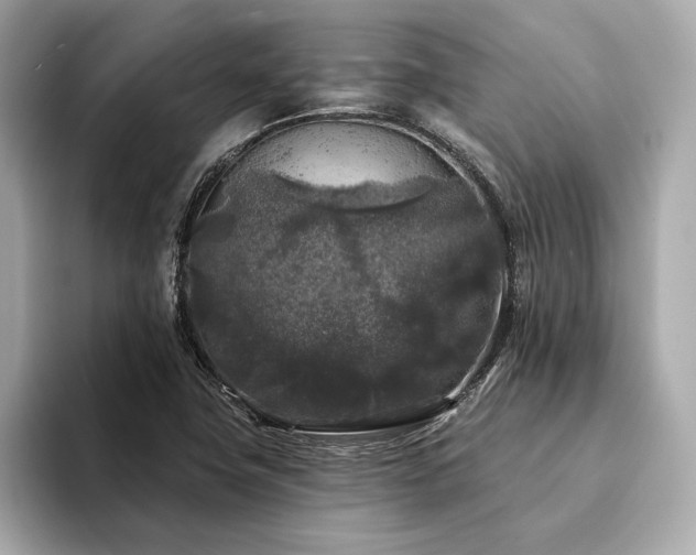 X0000094191411200710261122