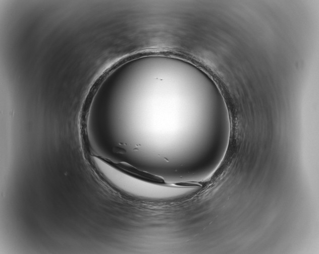 X0000094191412200710261122
