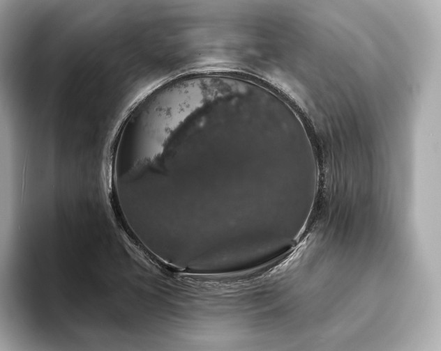 X0000094191413200710261122
