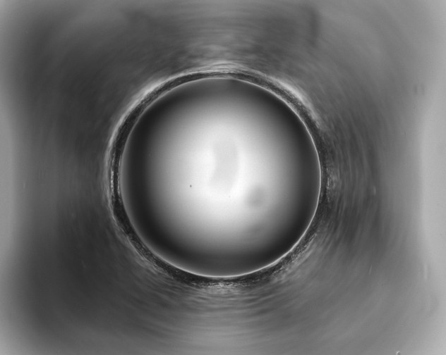 X0000094191414200710261122