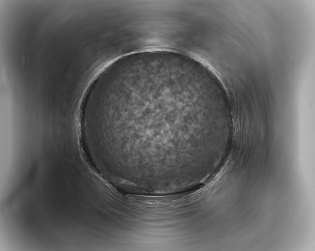 X0000094191415200710261122