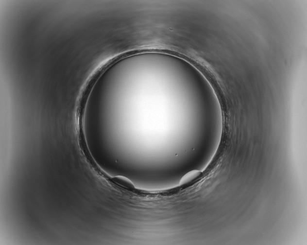 X0000094191416200710261122