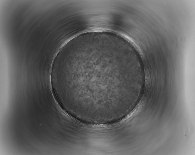 X0000094191417200710261122