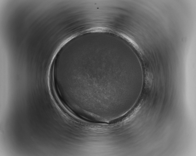 X0000094191418200710261122
