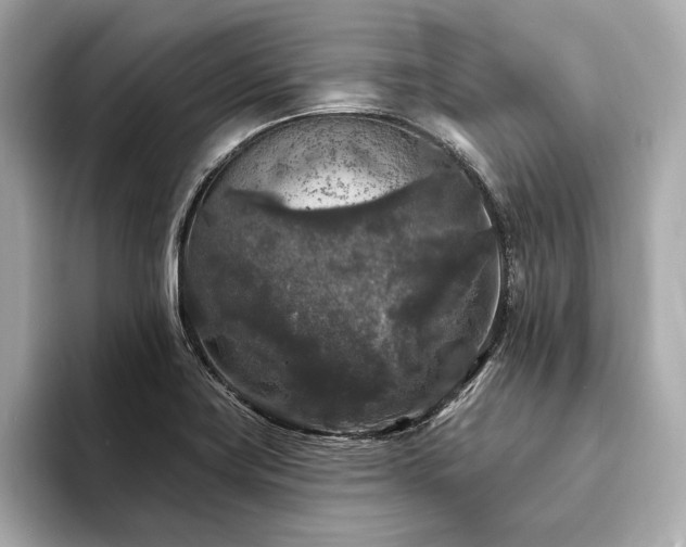 X0000094191419200710261122
