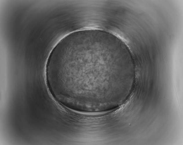 X0000094191423200710261122