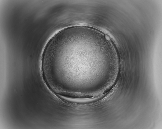 X0000094191424200710261122