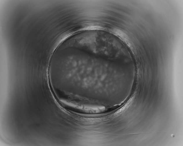 X0000094191425200710261122