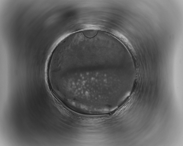 X0000094191427200710261122