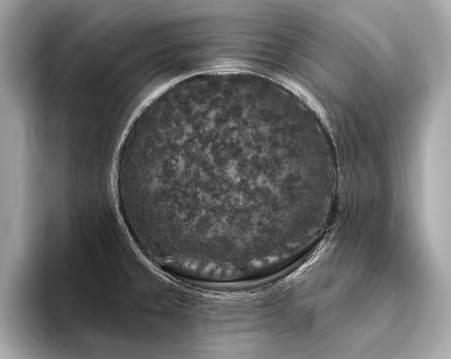 X0000094191429200710261122