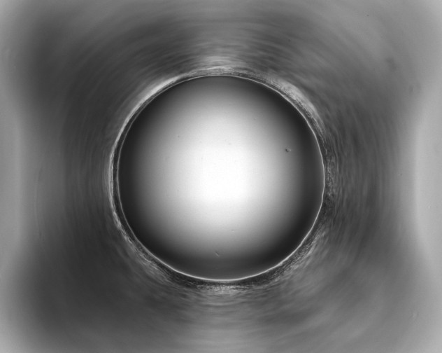 X0000094191431200710261122