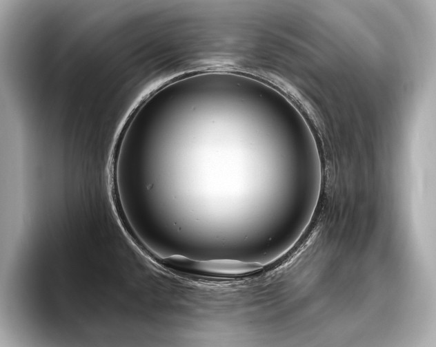 X0000094191432200710261122