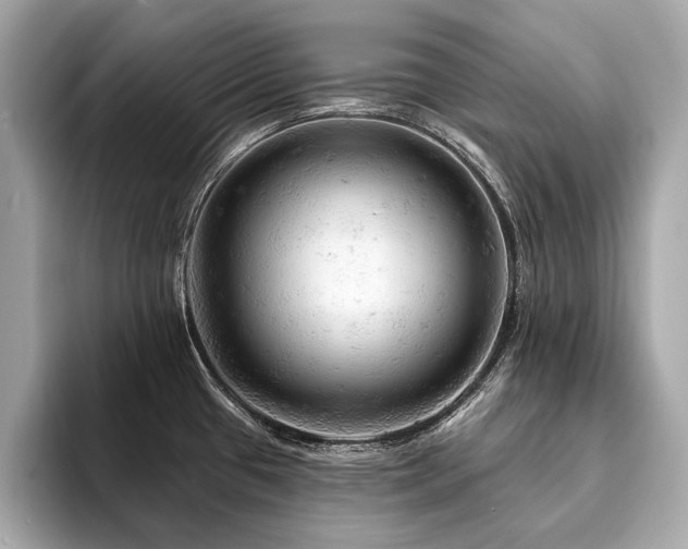 X0000094191433200710261122