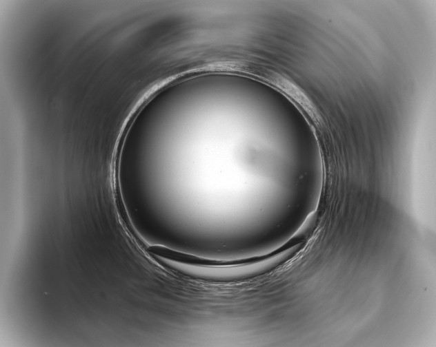 X0000094191436200710261122