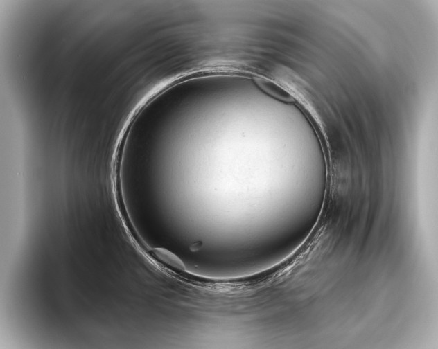 X0000094191437200710261122
