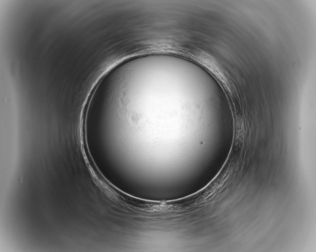 X0000094191439200710261122