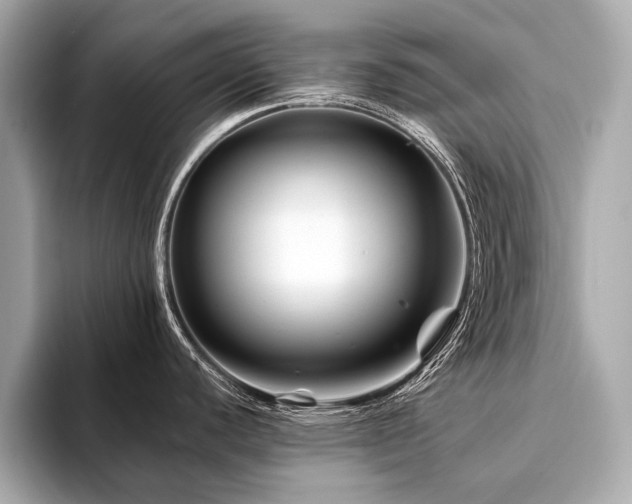 X0000094191440200710261122