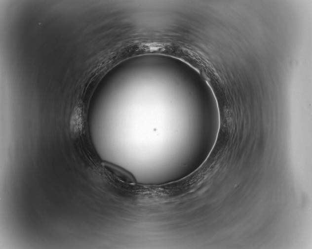 X0000094191442200710261122