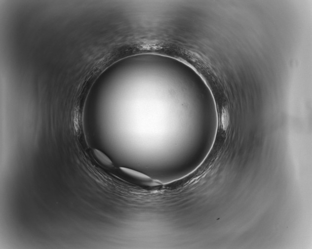 X0000094191444200710261122