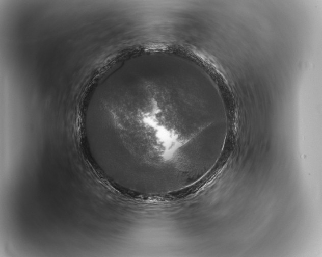 X0000094191445200710261122