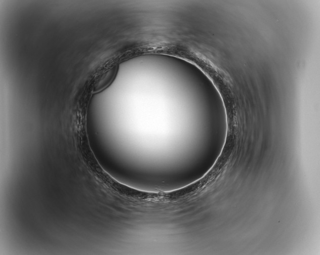 X0000094191447200710261122