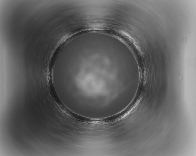 X0000094191449200710261122