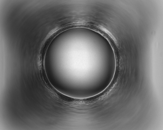 X0000094191450200710261122