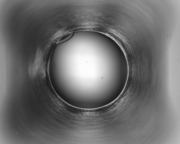 X0000094191451200710261122
