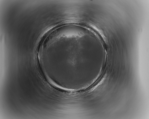 X0000094191453200710261122