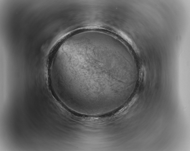 X0000094191456200710261122